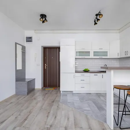 Modern In The Center Of Next To Spodek By Renters カトヴィツェ